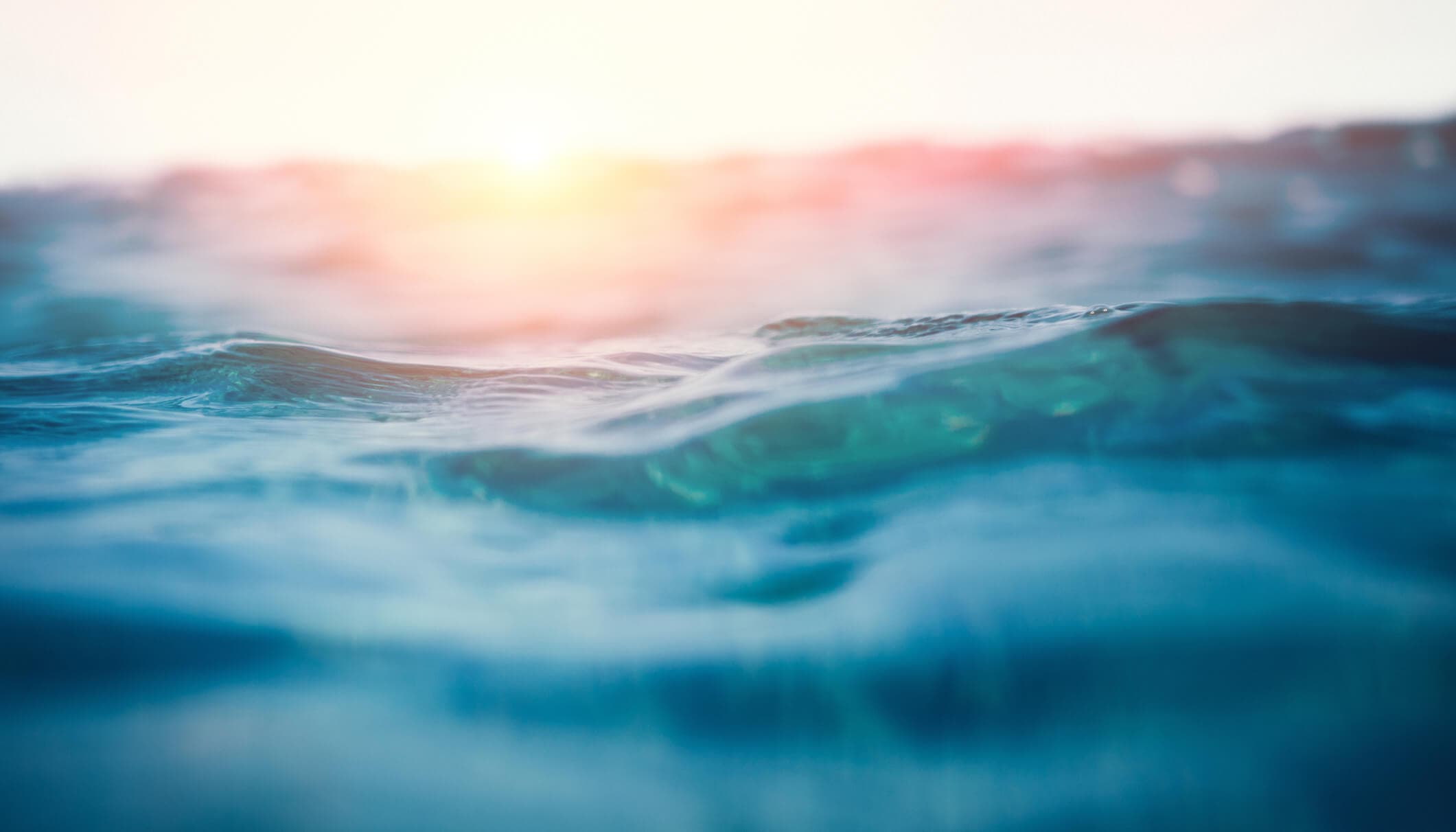 Customer of the Week: Enso Float Room