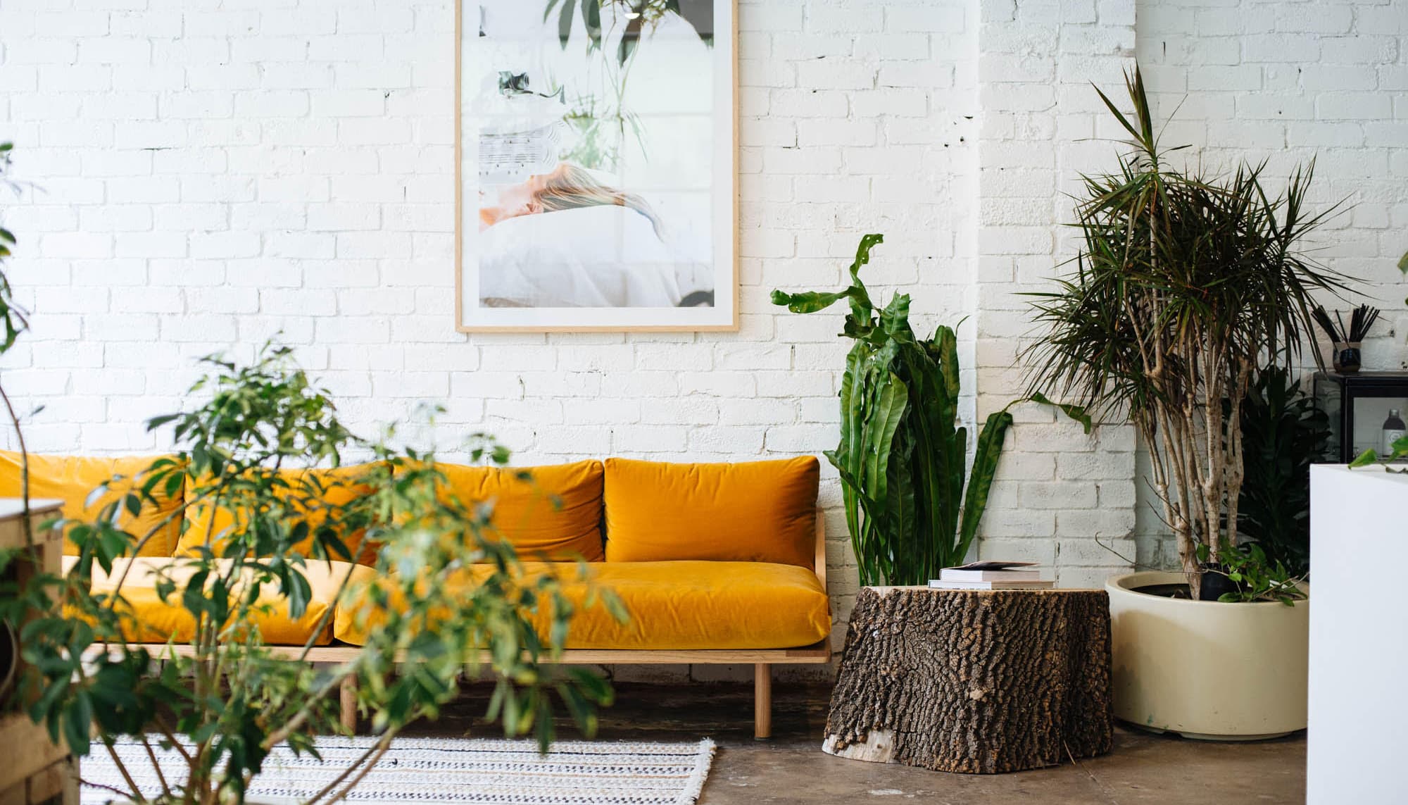 Customer of the Week: Little Company